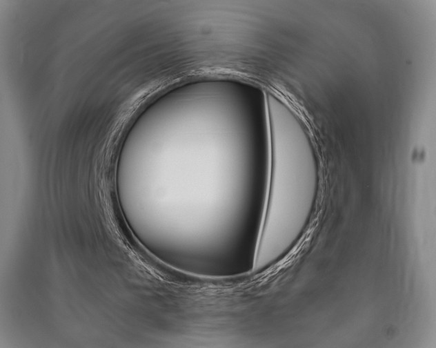 X0000091490193200708161218