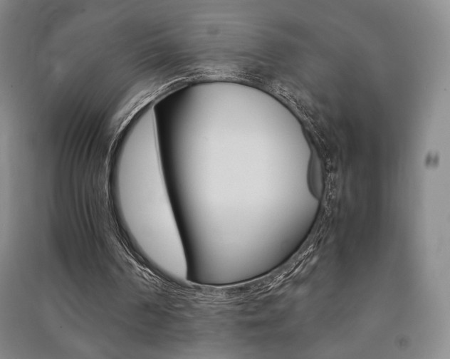 X0000091490194200708161217