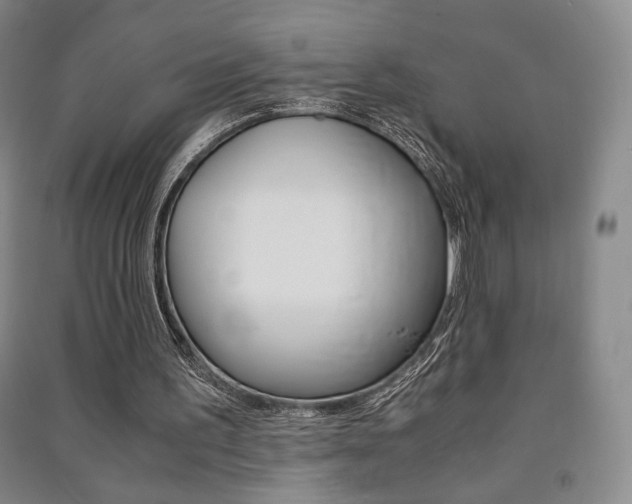X0000091490195200708161217