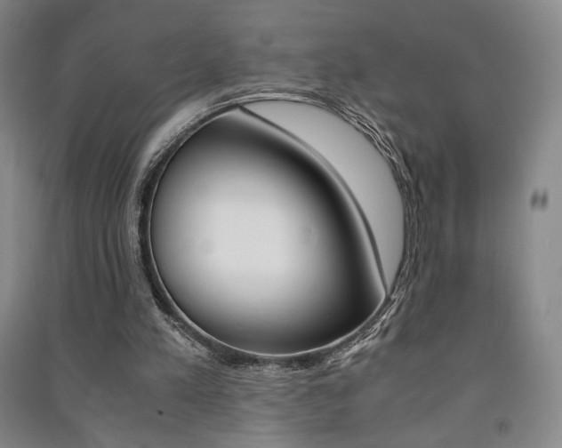 X0000091490197200708161217