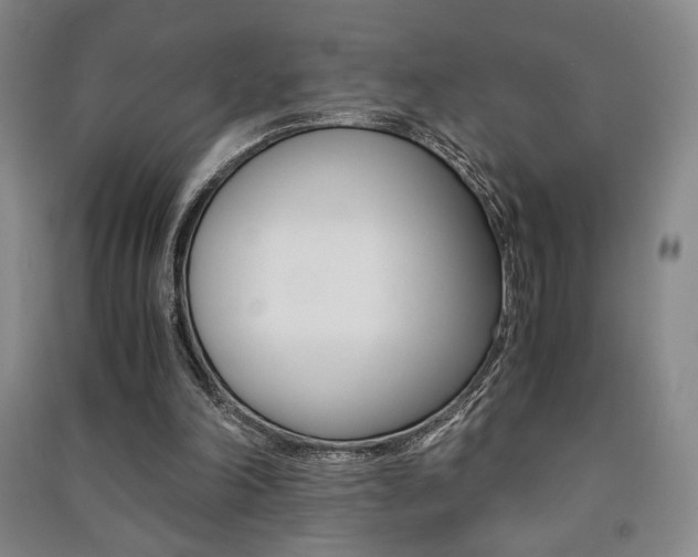X0000091490198200708161217