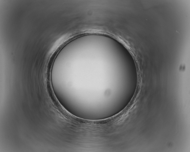 X0000091490199200708161217