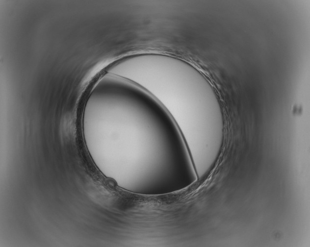 X0000091490200200708161217