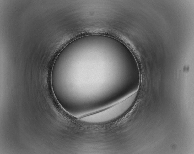 X0000091490201200708161217