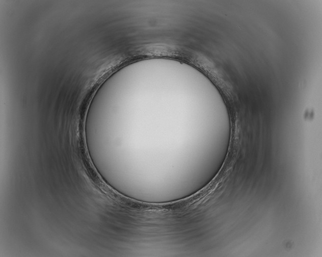 X0000091490202200708161217