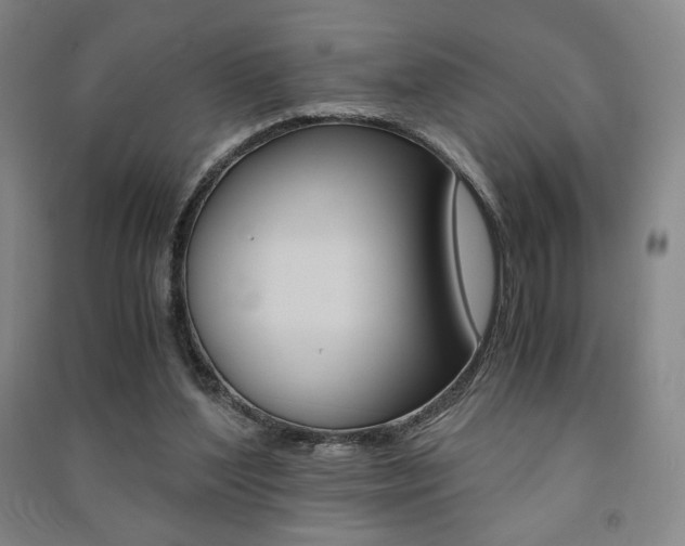 X0000091490204200708161217