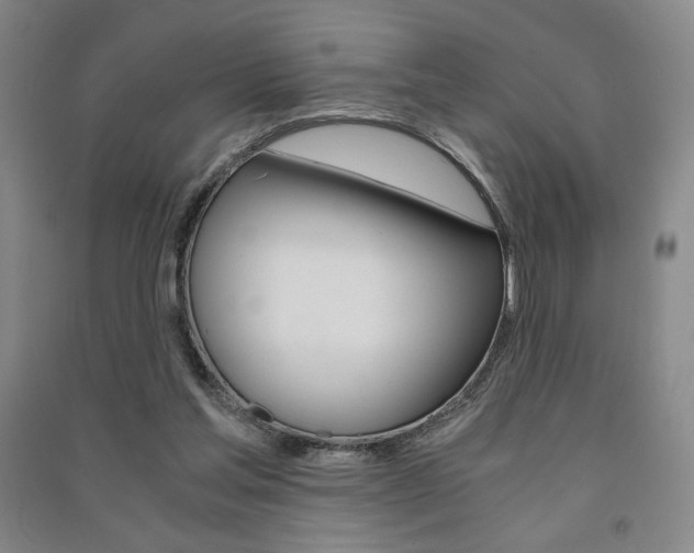 X0000091490205200708161217