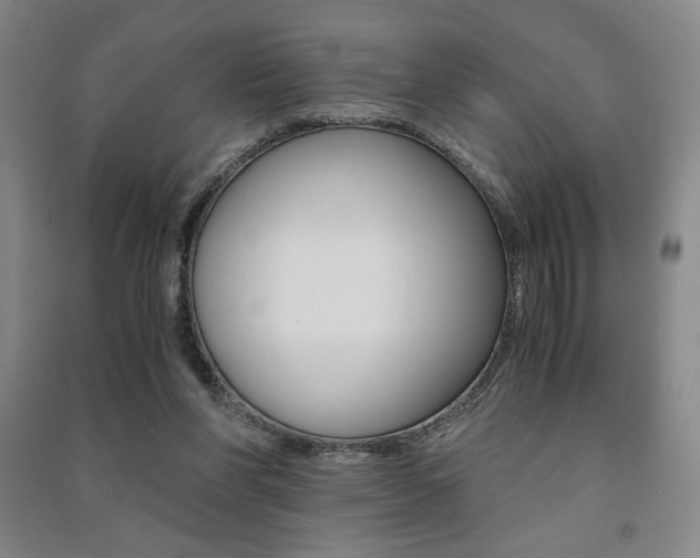 X0000091490206200708161217