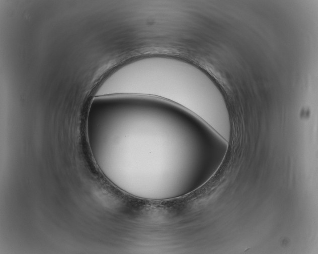X0000091490207200708161217