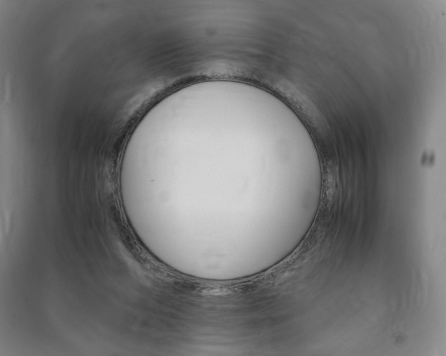 X0000091490208200708161217
