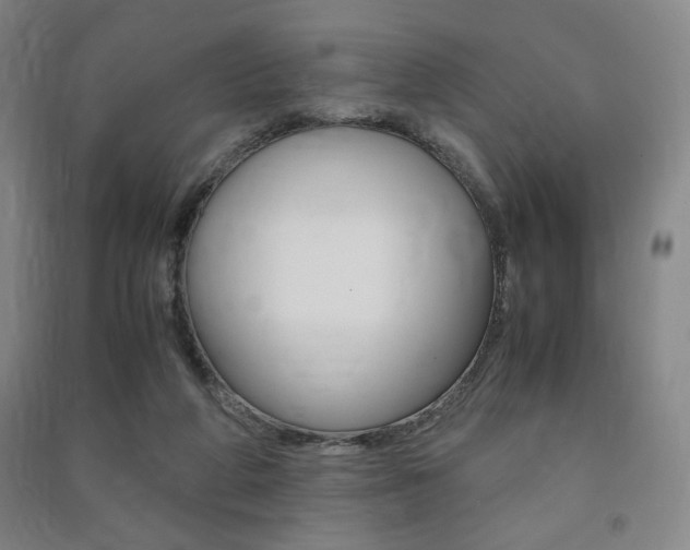 X0000091490210200708161217