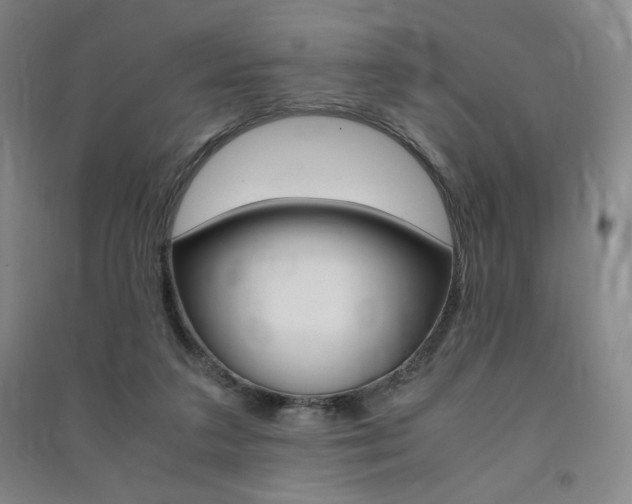 X0000091490211200708161217
