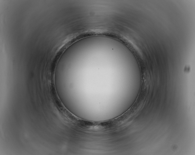 X0000091490212200708161217