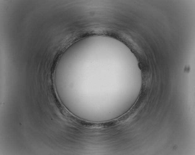 X0000091490213200708161217