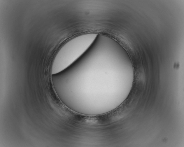 X0000091490214200708161217