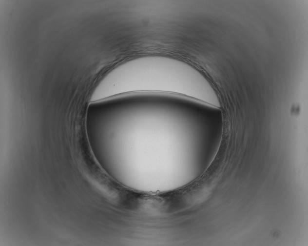 X0000091490215200708161217