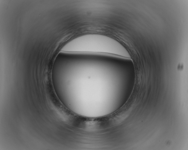 X0000091490216200708161217