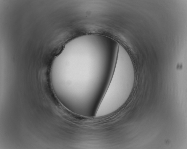 X0000091490217200708161217