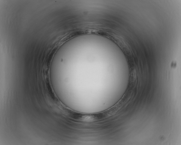 X0000091490218200708161217
