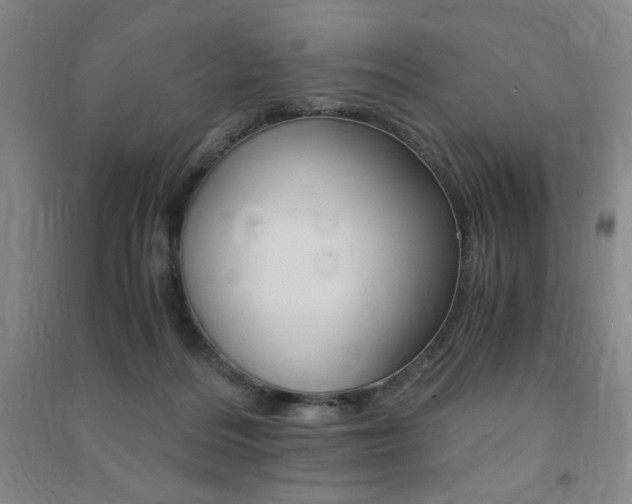 X0000091490220200708161217