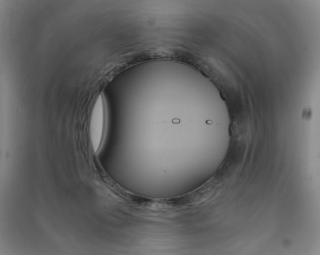 X0000091490223200708161217