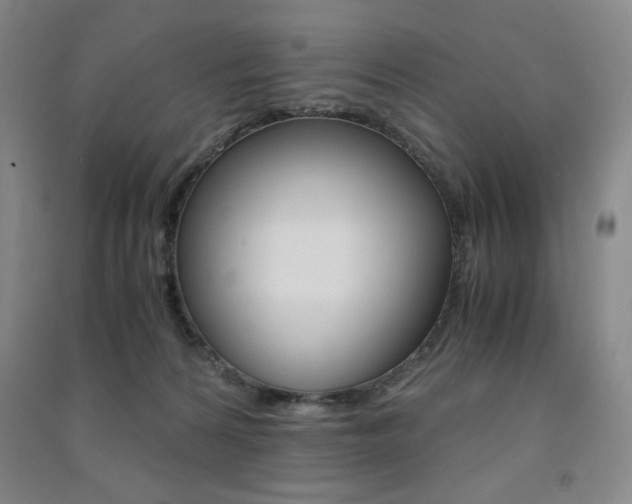 X0000091490224200708161217