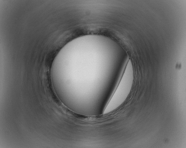 X0000091490225200708161217