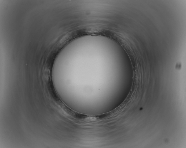 X0000091490227200708161217