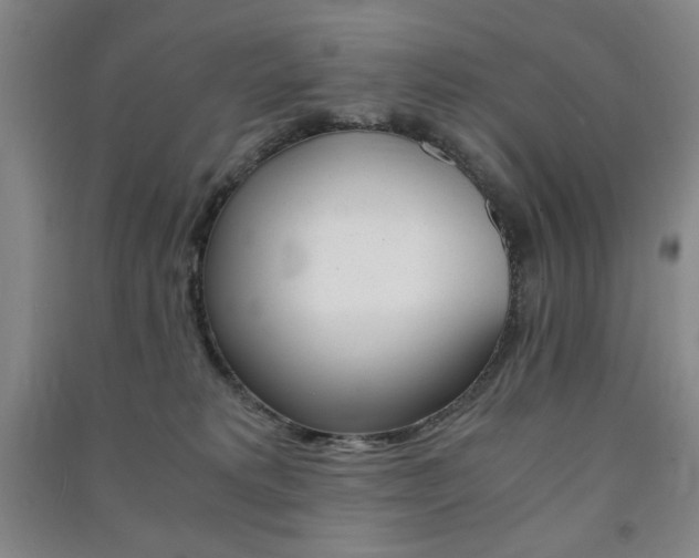 X0000091490229200708161217
