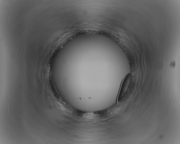 X0000091490231200708161217