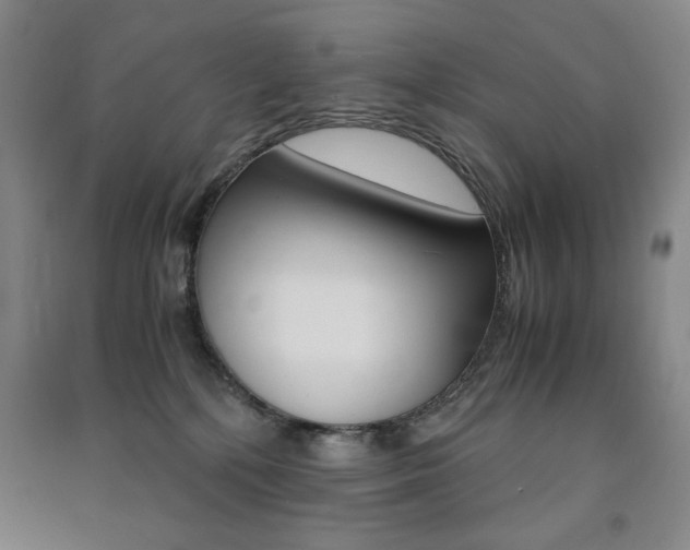 X0000091490232200708161217