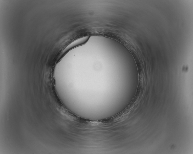 X0000091490233200708161217