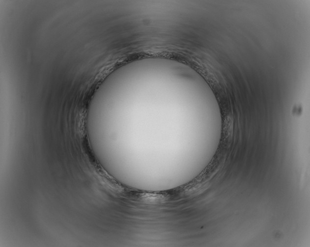 X0000091490234200708161217