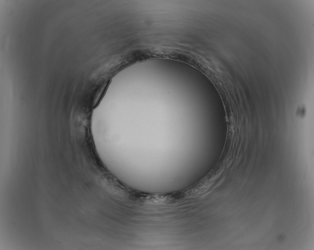X0000091490235200708161217