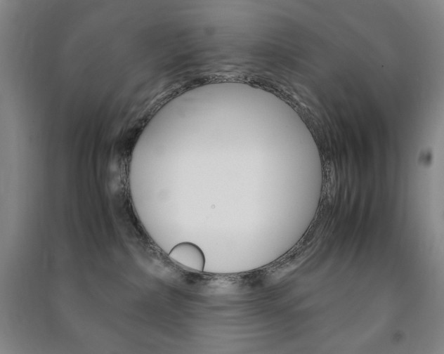 X0000091490236200708161217