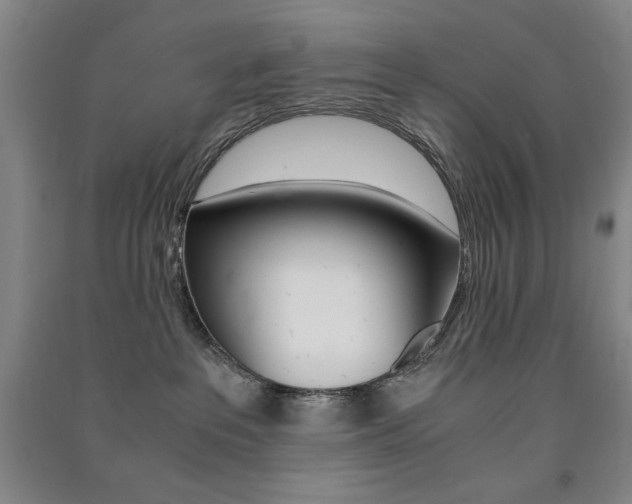 X0000091490237200708161217