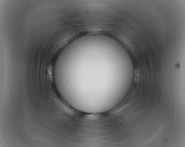X0000091490238200708161217