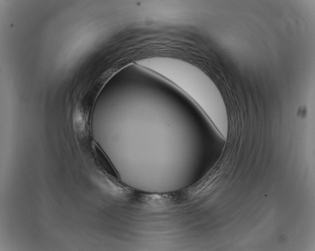 X0000091490239200708161217