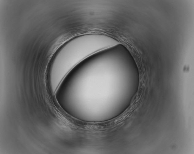 X0000091490242200708161216