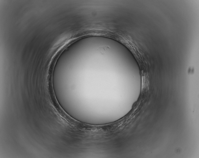 X0000091490243200708161216