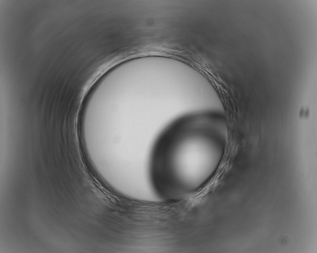 X0000091490244200708161216