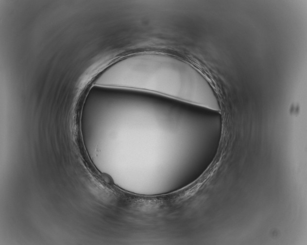 X0000091490245200708161216
