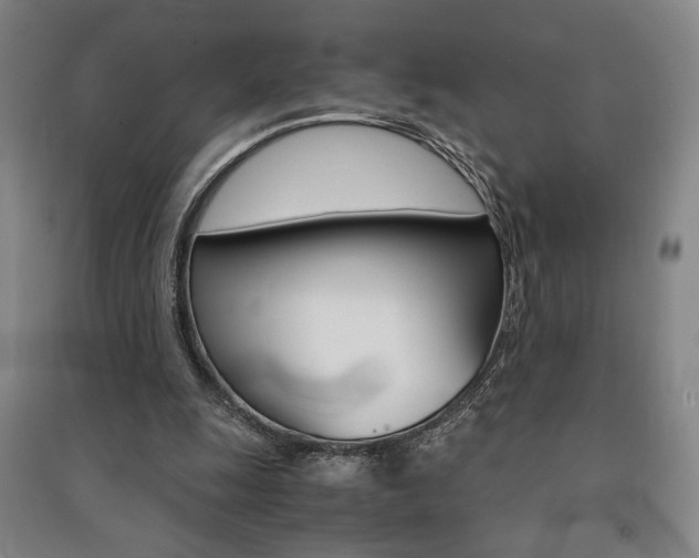 X0000091490247200708161216