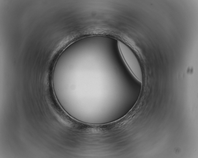 X0000091490250200708161216