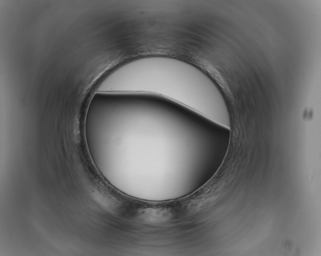 X0000091490251200708161216