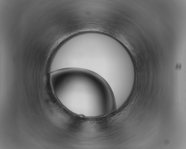 X0000091490252200708161216
