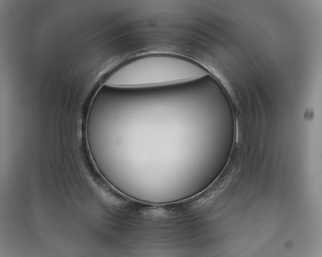 X0000091490253200708161216