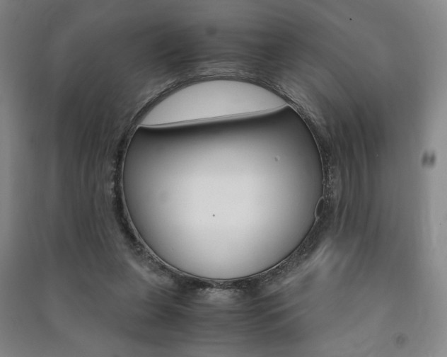 X0000091490255200708161216