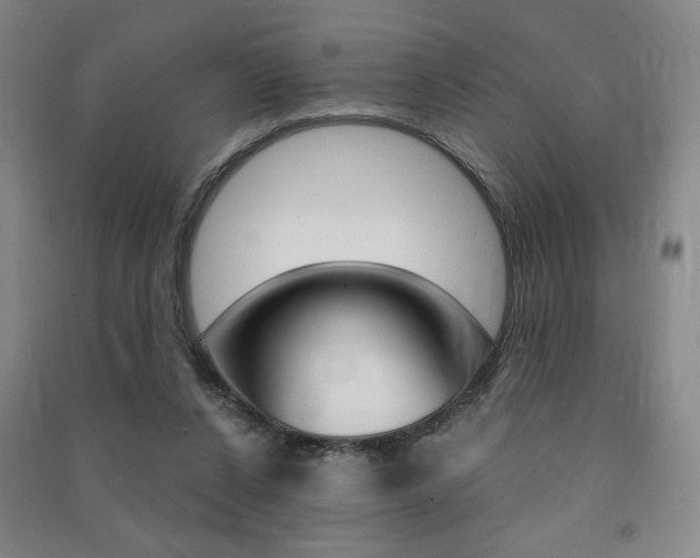 X0000091490256200708161216