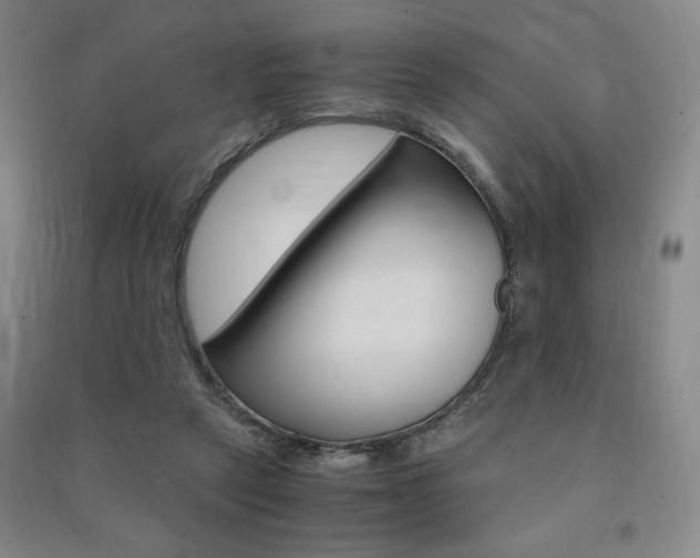 X0000091490257200708161216